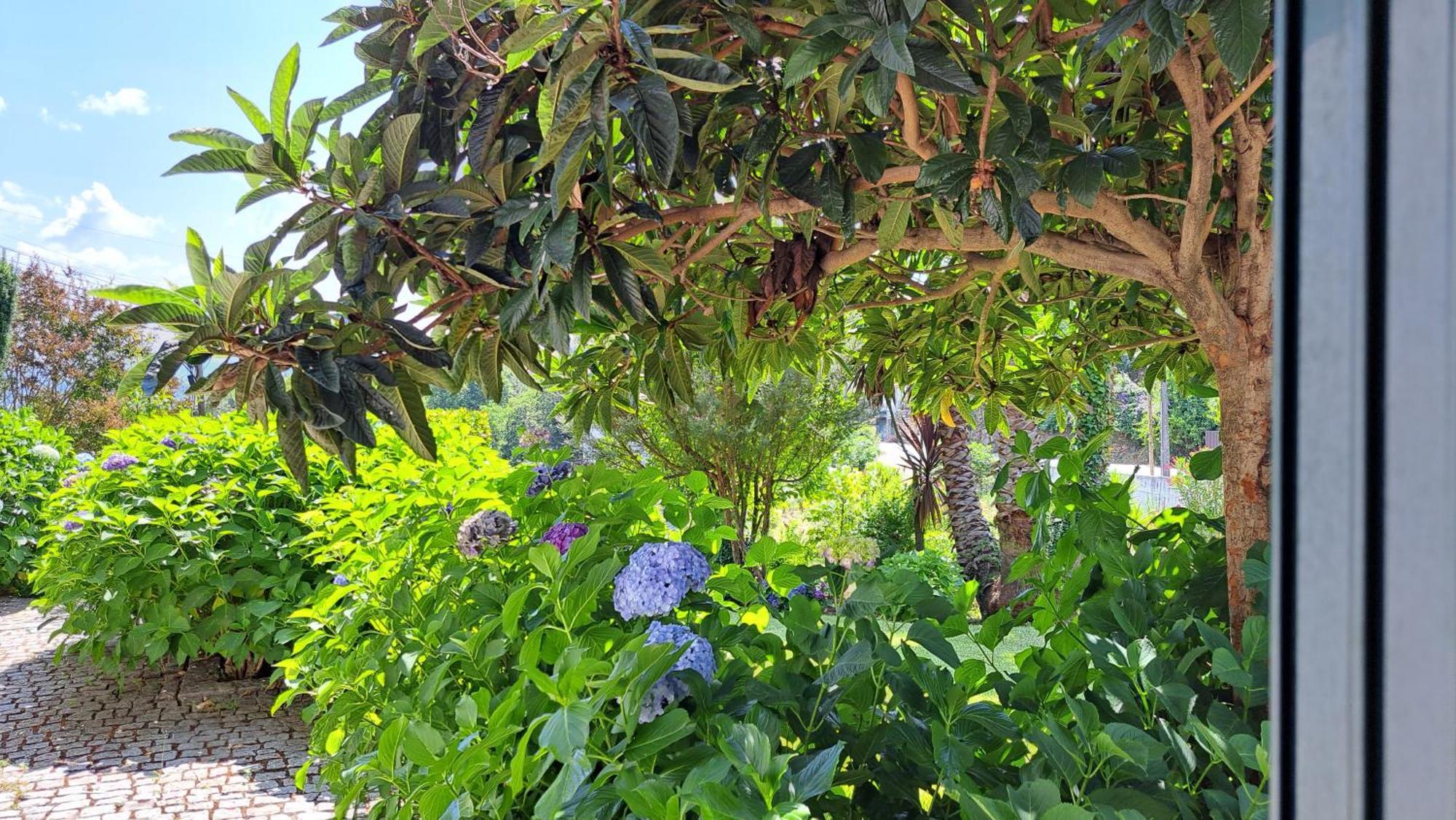 卡萨皮尼奥乡村民宿 圣佩罗多索 外观 照片