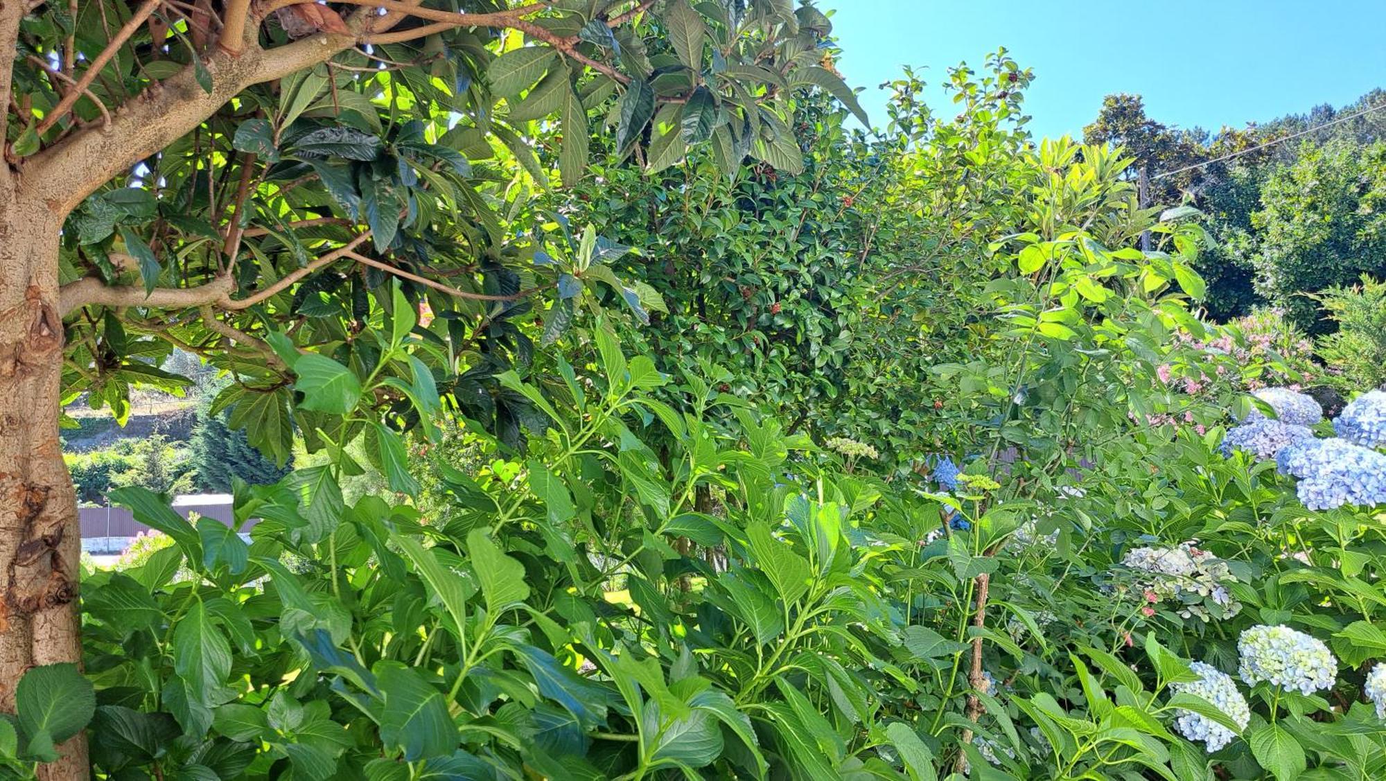 卡萨皮尼奥乡村民宿 圣佩罗多索 外观 照片